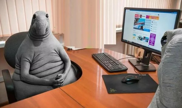 ждун офисный