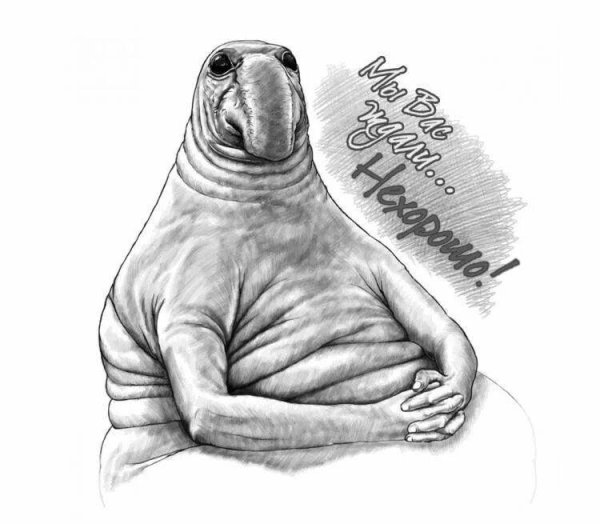 что такое ждун