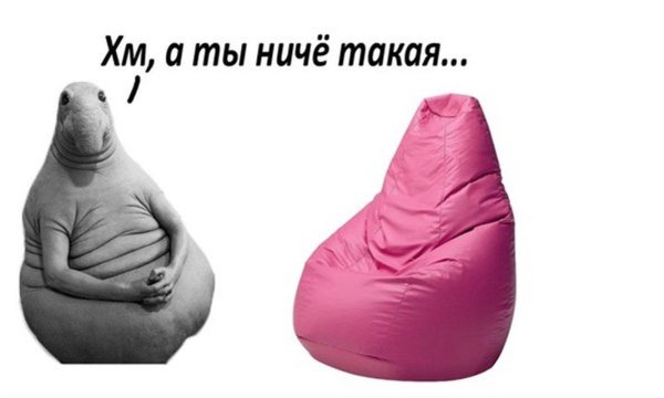 ждун прикольный