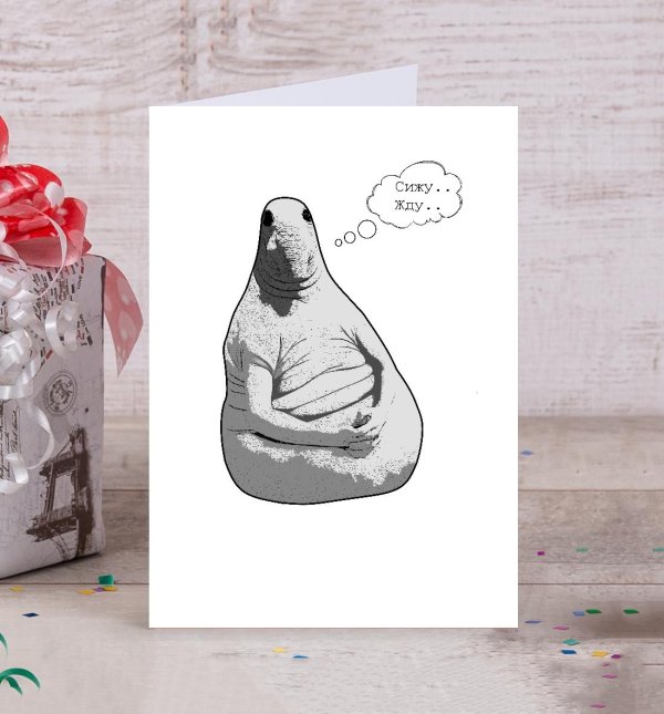 ждун стикеры