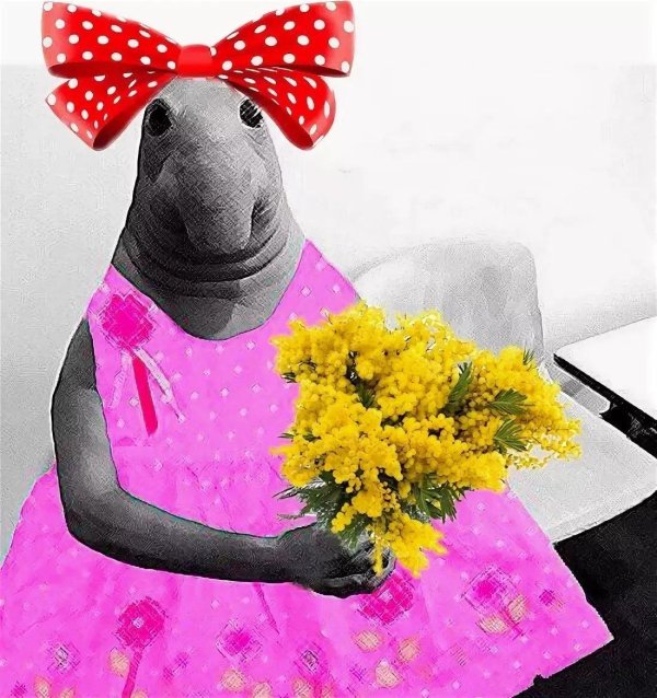 ждун 8 марта