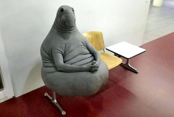 режим ждуна