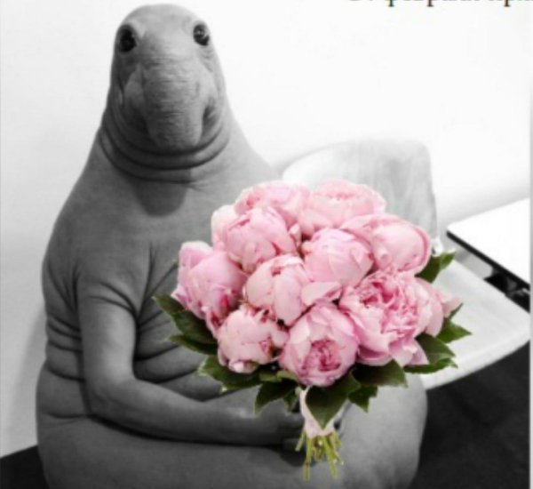 ждун оксана