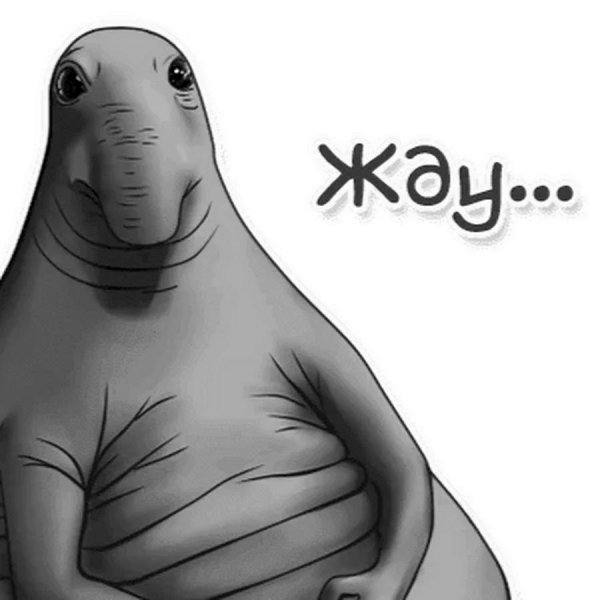 режим ждуна