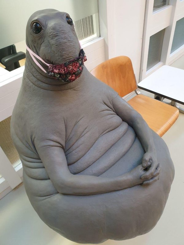 homunculus loxodontus