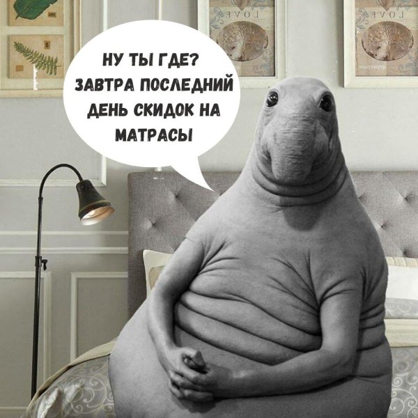 ждун прикол