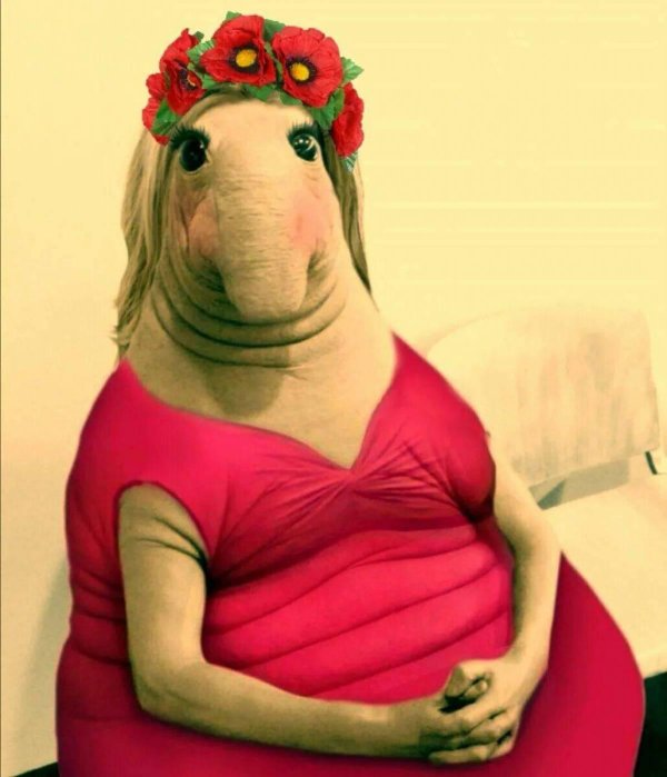 девочка ждун