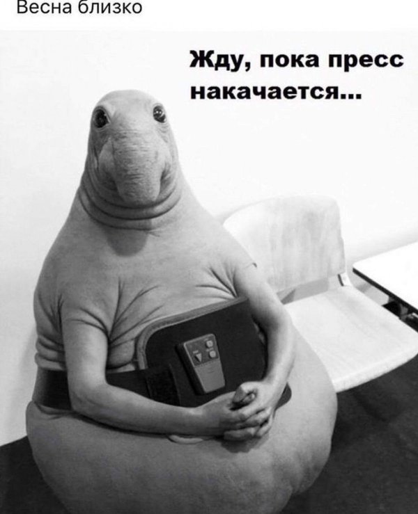 режим ждуна