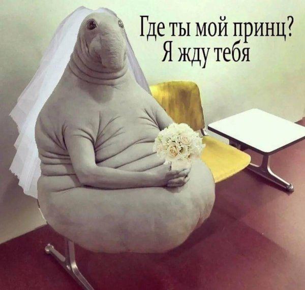 великий ждун