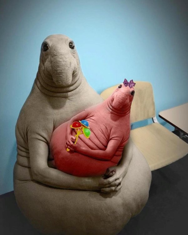 ждун прикол