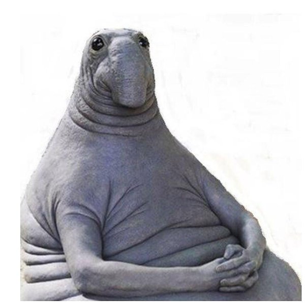 homunculus loxodontus