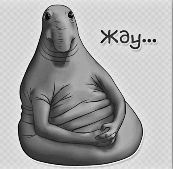 режим ждуна