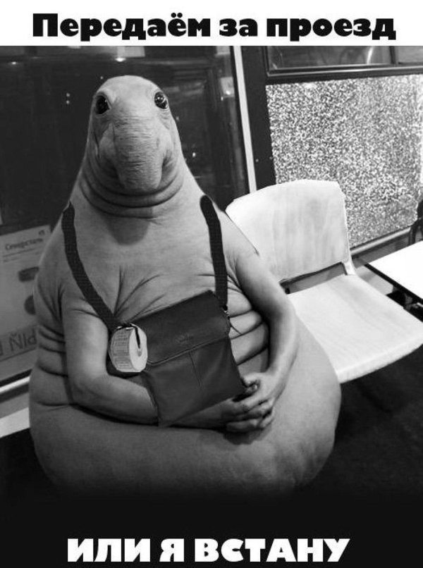 за проезд передаём