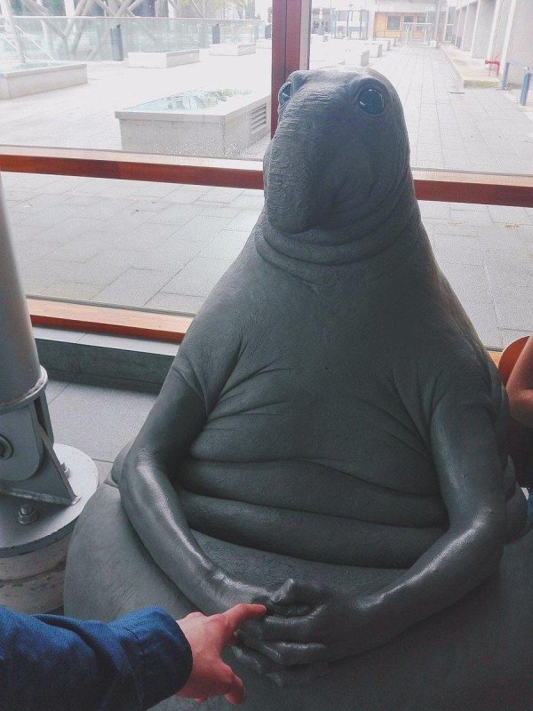 фотографии ждуна