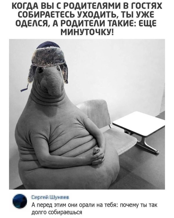 режим ждуна