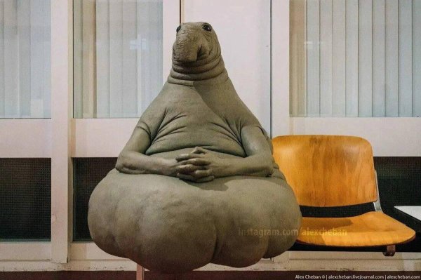 животное ждун