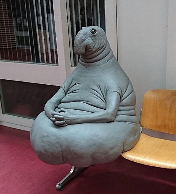 маргрит ван бреворт ждун