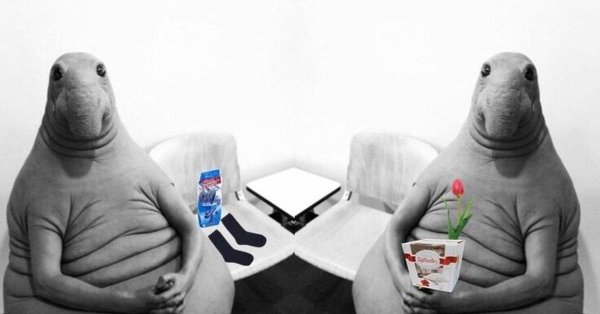 homunculus loxodontus