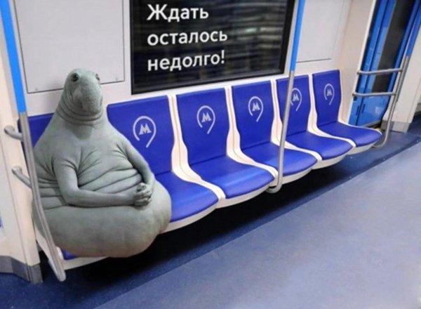 ждун оригинал