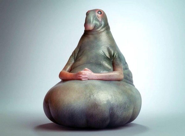 homunculus loxodontus