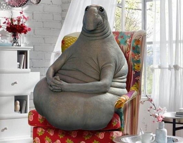 фотографии ждуна