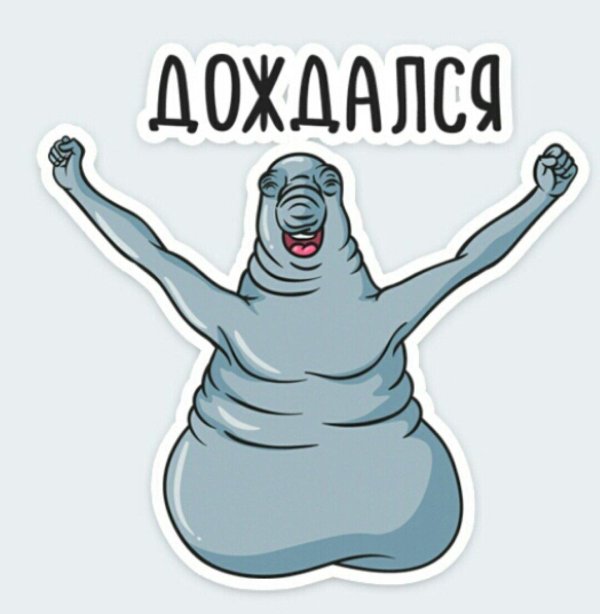 ждуны стикеры