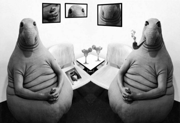 мемы со ждуном