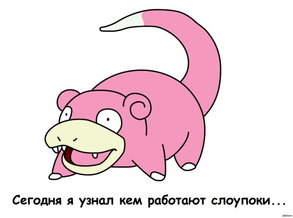 слоу пок