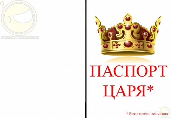 прикольные надписи на обложку паспорта
