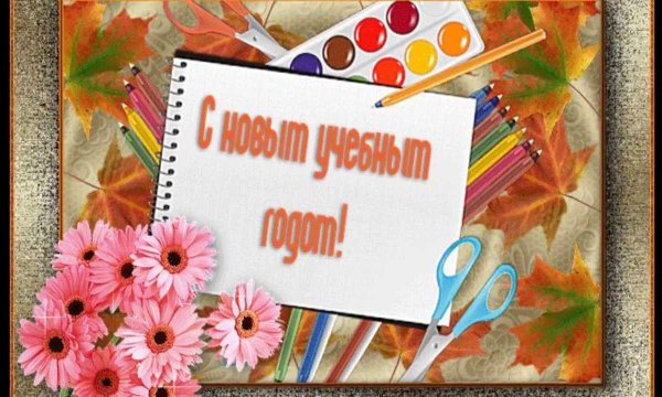 с новым учебным годом