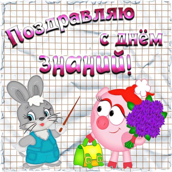 смешарики персонажи нюша