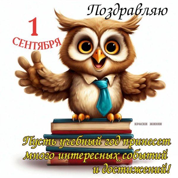 с начала учебного года