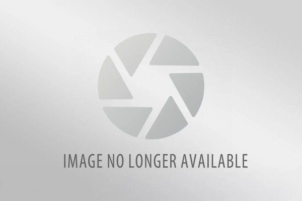 дизайн логотип