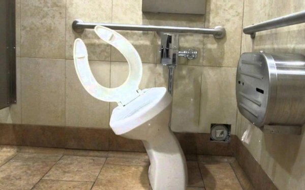 необычные туалеты