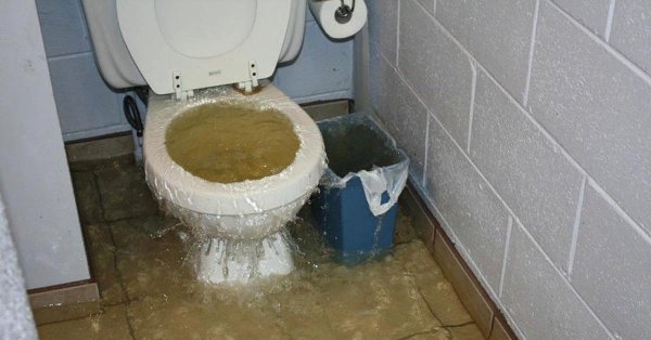 засор унитаза