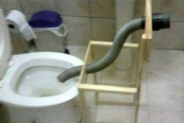 змея из унитаза