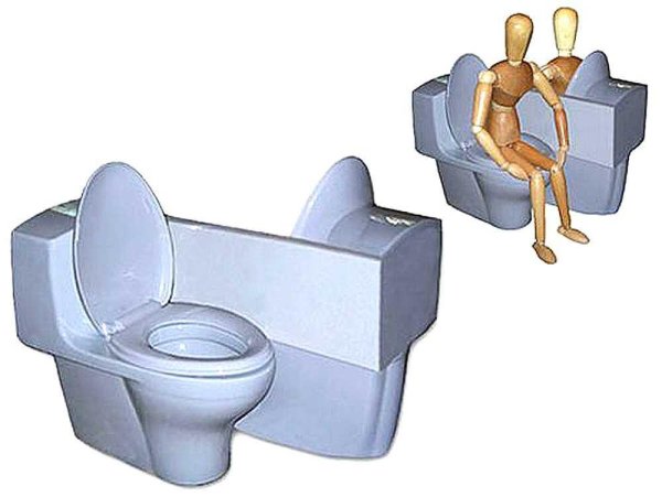 двойной унитаз