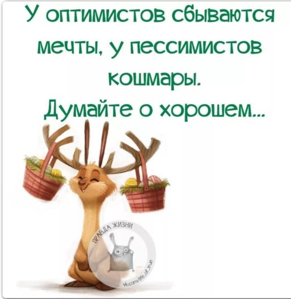 правда жизни