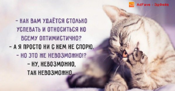 оптимистичные цитаты