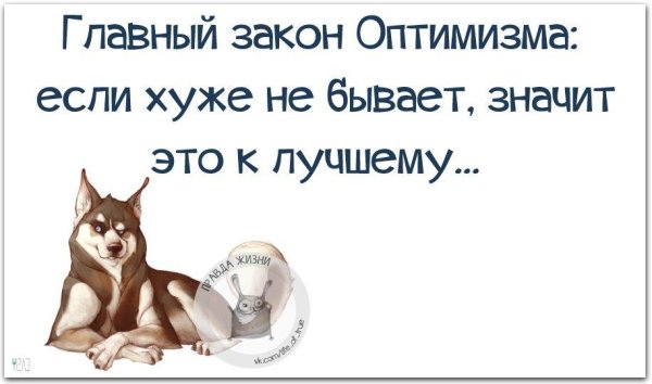 правда жизни