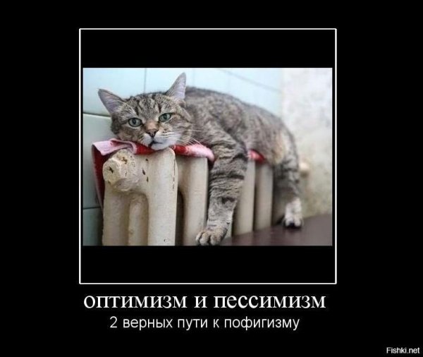 включили отопление