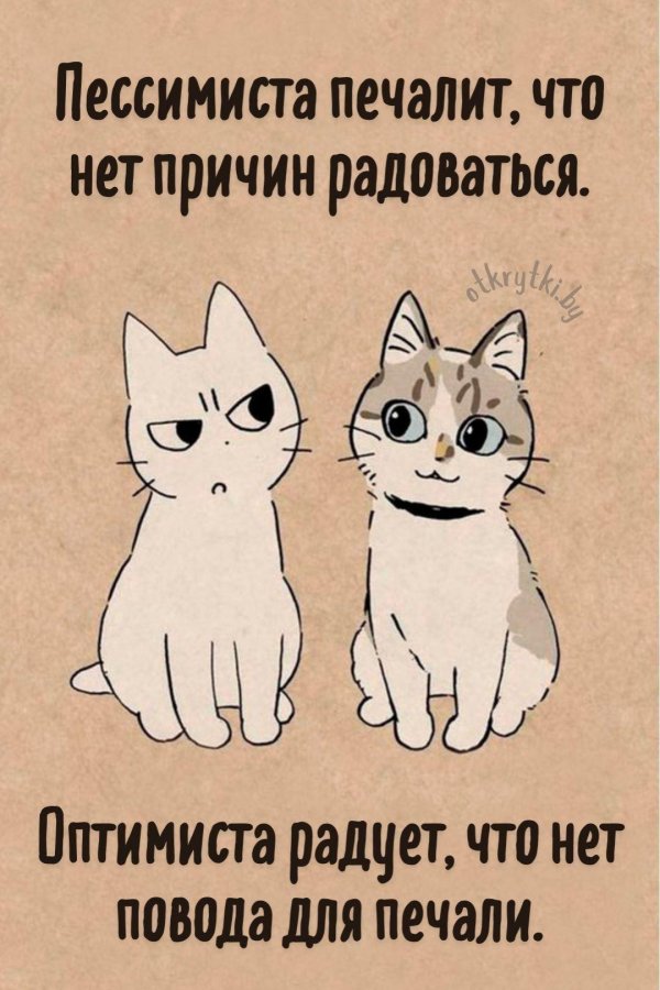 оптимист и пессимист