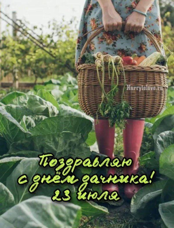 день дачника в россии