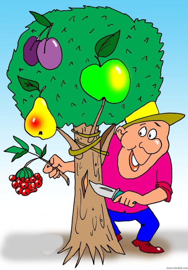 дачник карикатура