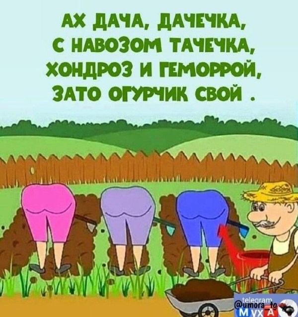 дачный юмор