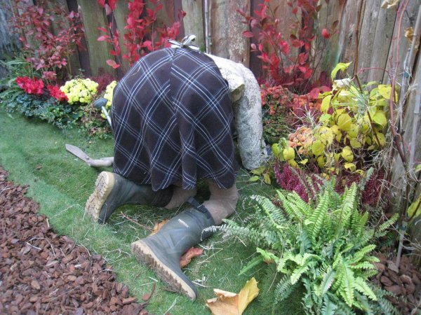 дачники приколы