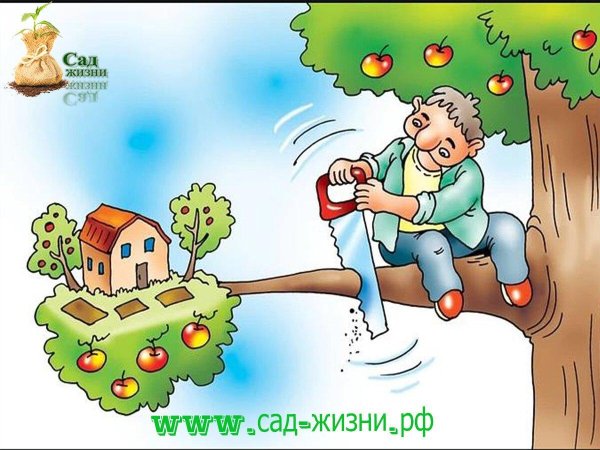 огород рисунок