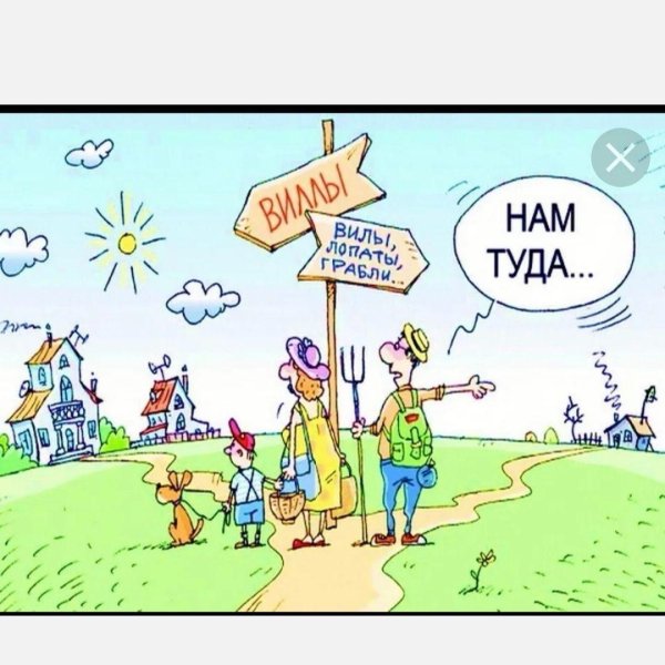 дачники юмор