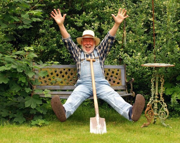 пенсионеры на огороде