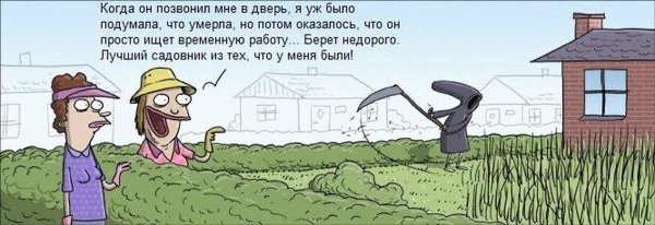 юмор анекдоты